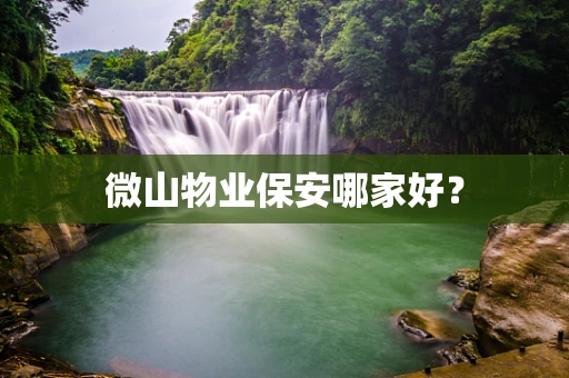 微山物业保安哪家好？