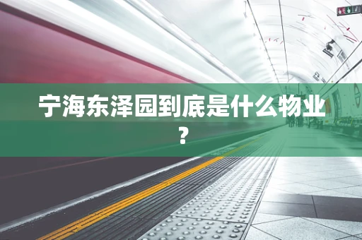 宁海东泽园到底是什么物业？