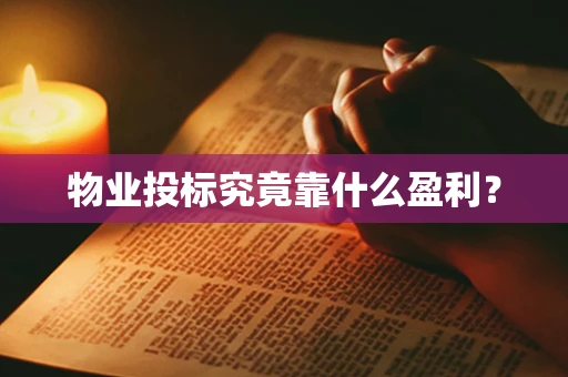 物业投标究竟靠什么盈利？