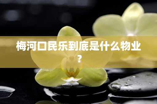 梅河口民乐到底是什么物业？