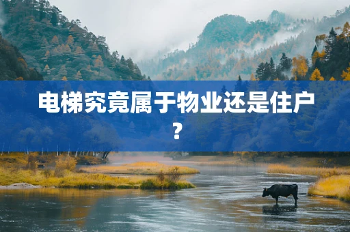电梯究竟属于物业还是住户？
