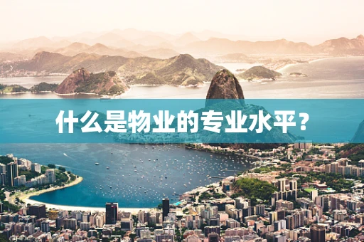 什么是物业的专业水平？