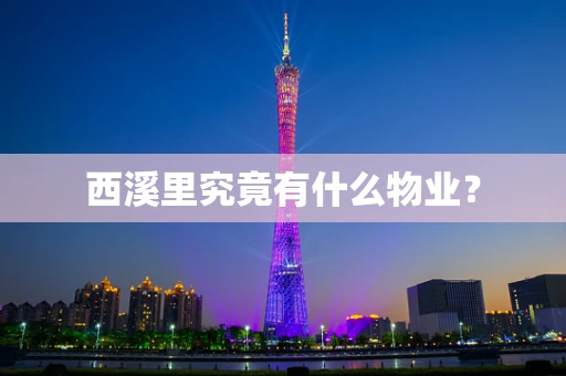 西溪里究竟有什么物业？