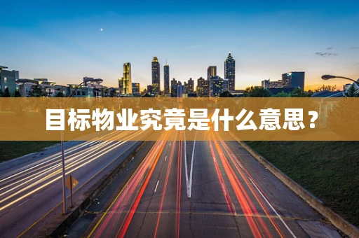 目标物业究竟是什么意思？