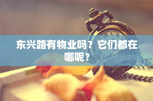 东兴路有物业吗？它们都在哪呢？