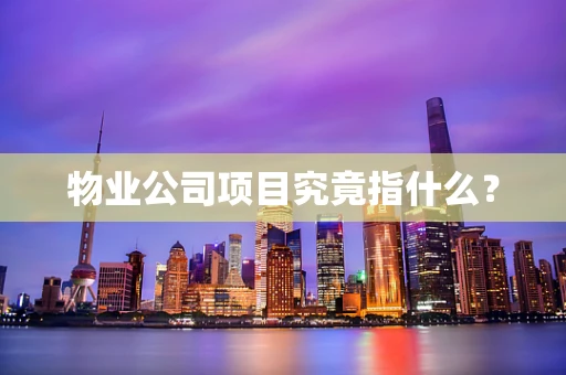物业公司项目究竟指什么？