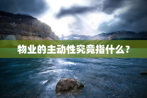 物业的主动性究竟指什么？