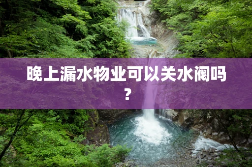 晚上漏水物业可以关水阀吗？