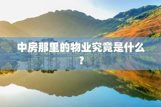 中房那里的物业究竟是什么？