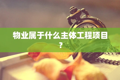 物业属于什么主体工程项目？