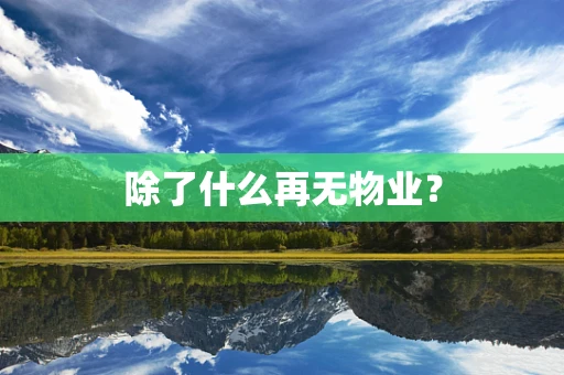 除了什么再无物业？