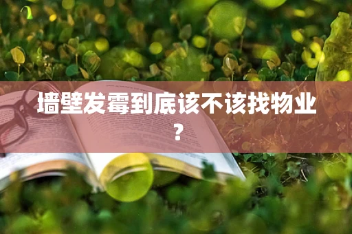 墙壁发霉到底该不该找物业？