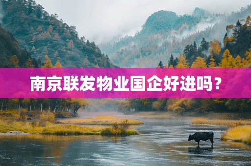 南京联发物业国企好进吗？