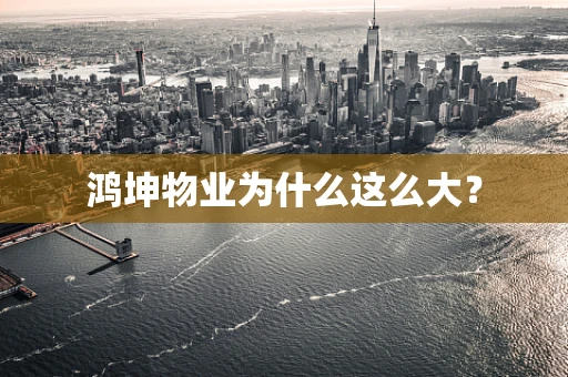鸿坤物业为什么这么大？