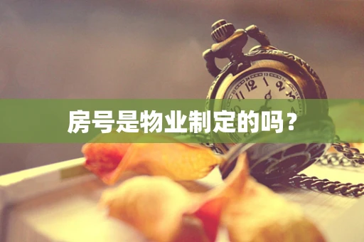 房号是物业制定的吗？