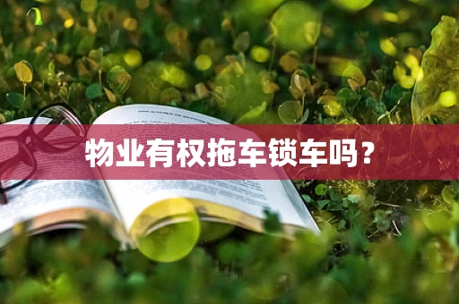 物业有权拖车锁车吗？