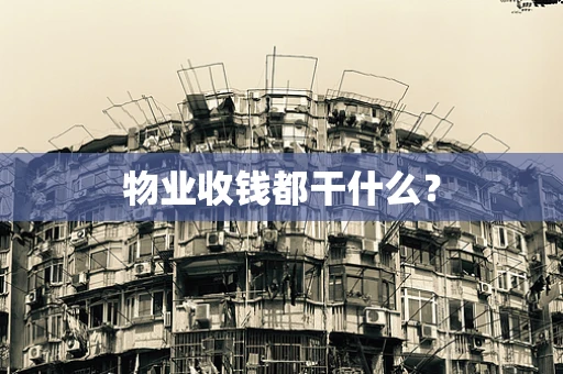 物业收钱都干什么？