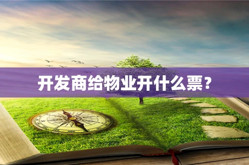 开发商给物业开什么票？