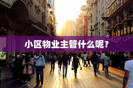 小区物业主管什么呢？