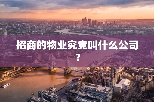 招商的物业究竟叫什么公司？