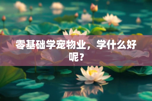 零基础学宠物业，学什么好呢？