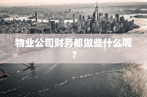 物业公司财务都做些什么呢？