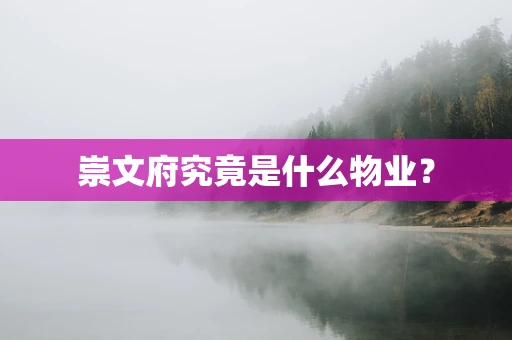 崇文府究竟是什么物业？