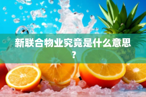 新联合物业究竟是什么意思？