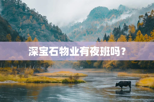 深宝石物业有夜班吗？