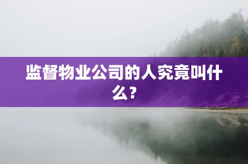 监督物业公司的人究竟叫什么？