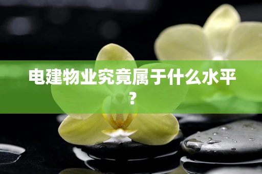 电建物业究竟属于什么水平？
