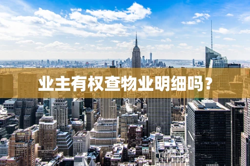业主有权查物业明细吗？