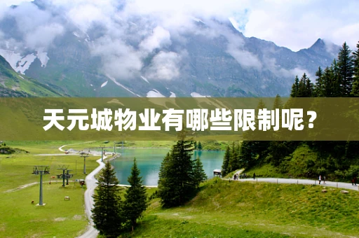 天元城物业有哪些限制呢？