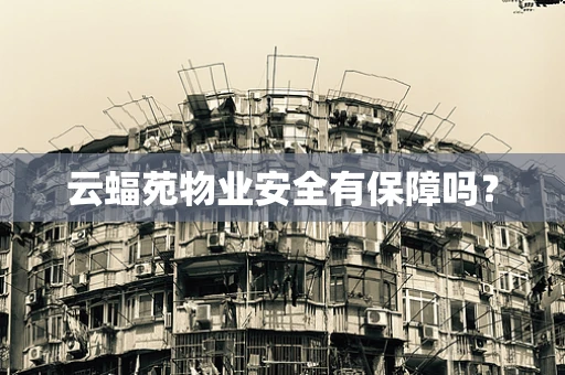 云蝠苑物业安全有保障吗？