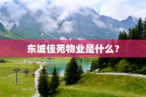 东城佳苑物业是什么？
