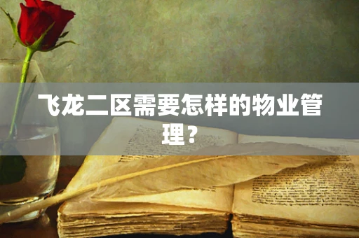 飞龙二区需要怎样的物业管理？