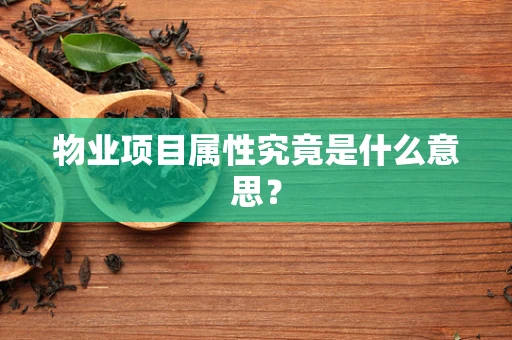 物业项目属性究竟是什么意思？