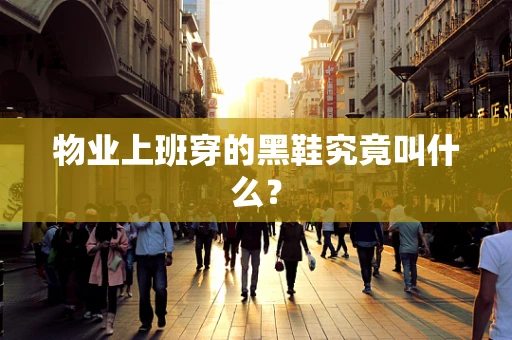 物业上班穿的黑鞋究竟叫什么？