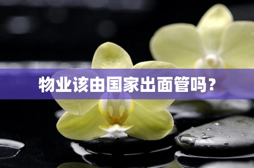 物业该由国家出面管吗？