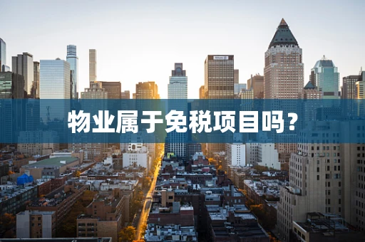物业属于免税项目吗？