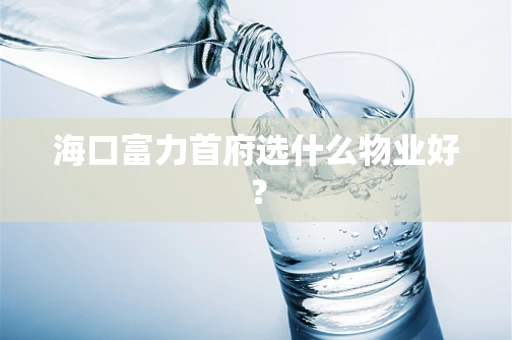 海口富力首府选什么物业好？