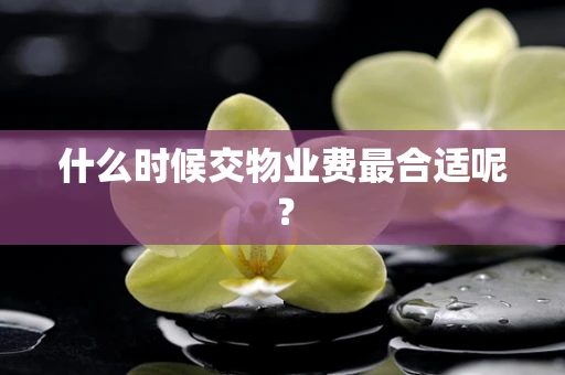 什么时候交物业费最合适呢？