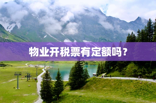 物业开税票有定额吗？