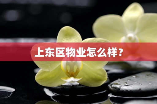 上东区物业怎么样？