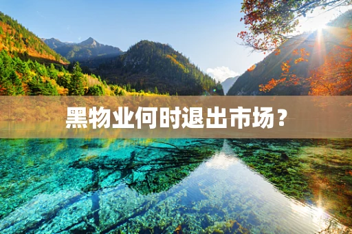 黑物业何时退出市场？