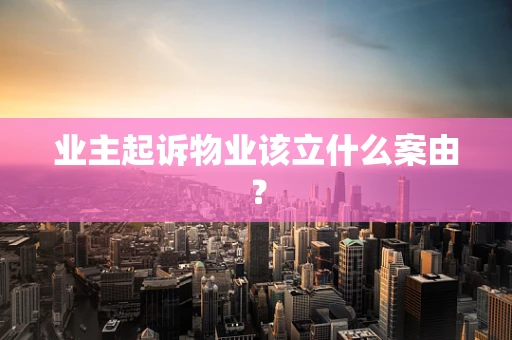 业主起诉物业该立什么案由？