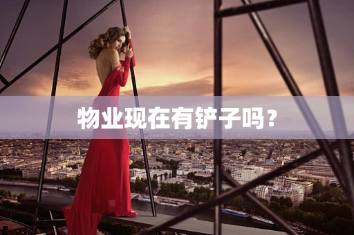 物业现在有铲子吗？