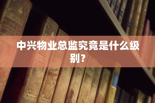 中兴物业总监究竟是什么级别？