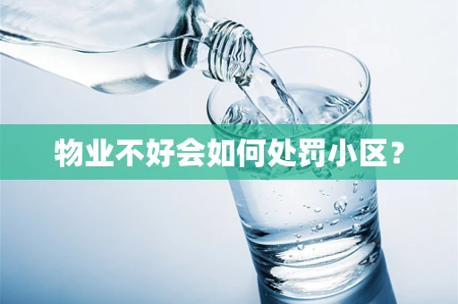 物业不好会如何处罚小区？