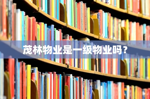 茂林物业是一级物业吗？